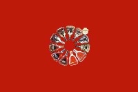 湛江吴川回收红酒